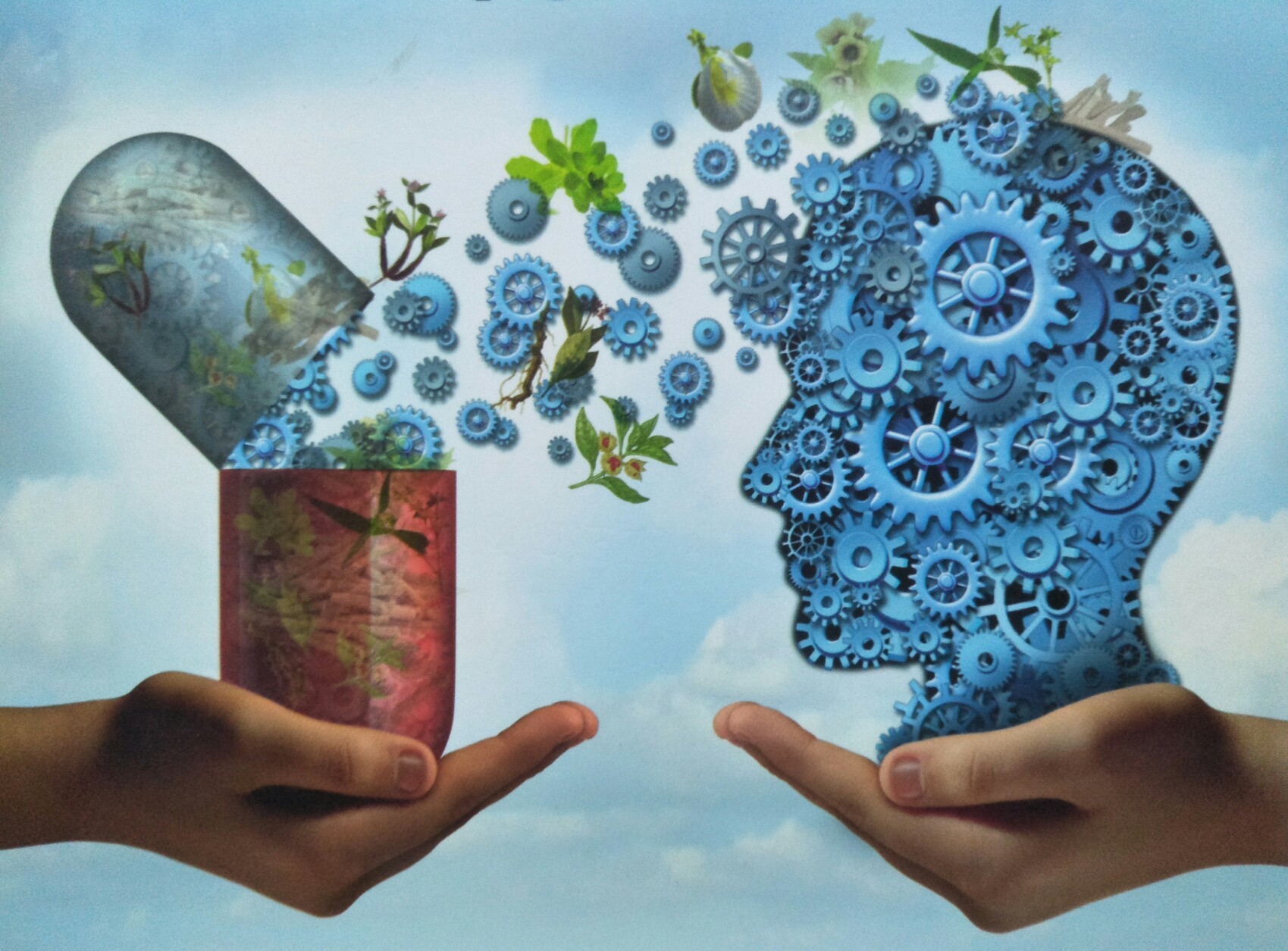 Research & Development - biotimes Product designing