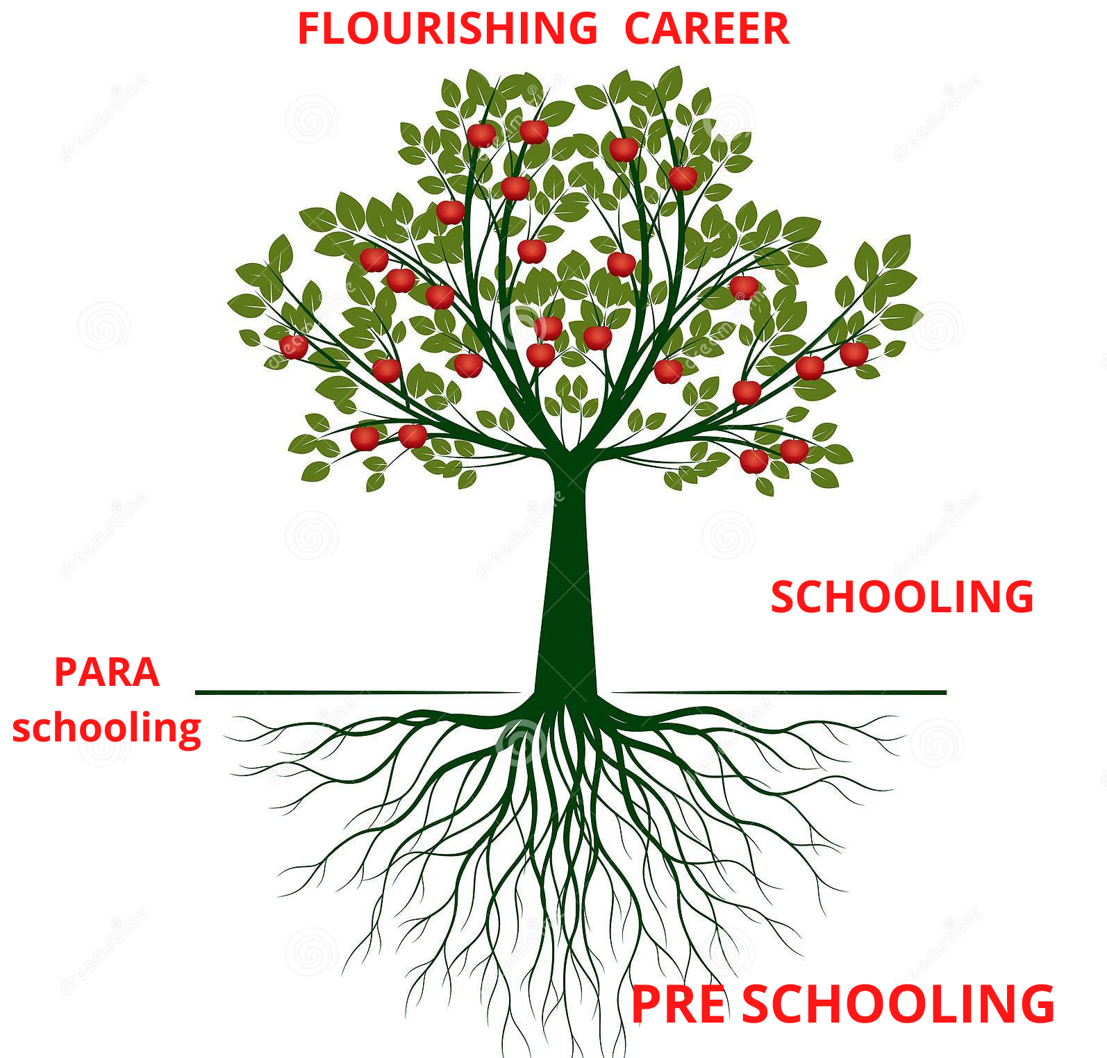 PARA-schooling-1 - biotimes Educre & Biotimes ( Tree representing Three schooling concept )