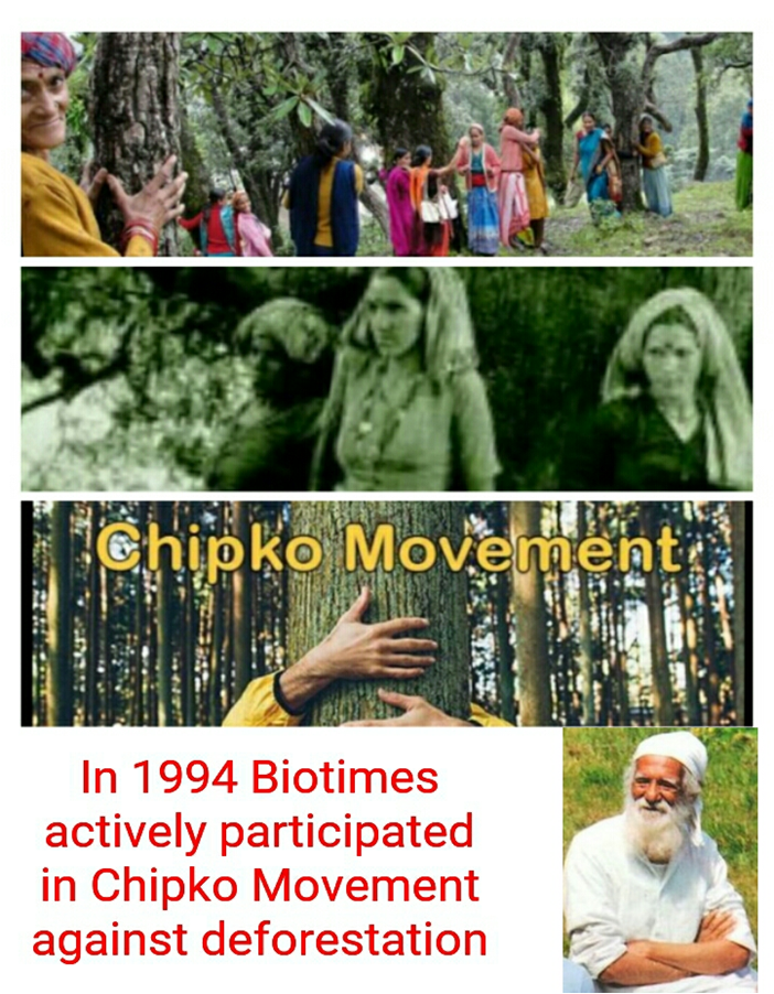 image-12 - biotimes chipko movement/social responsibilities