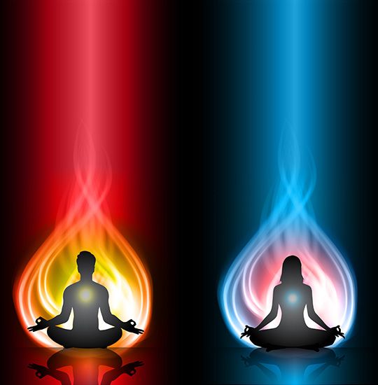 wellness-0 - biotimes Property - Care / Hospitality ( Yoga & Meditation )